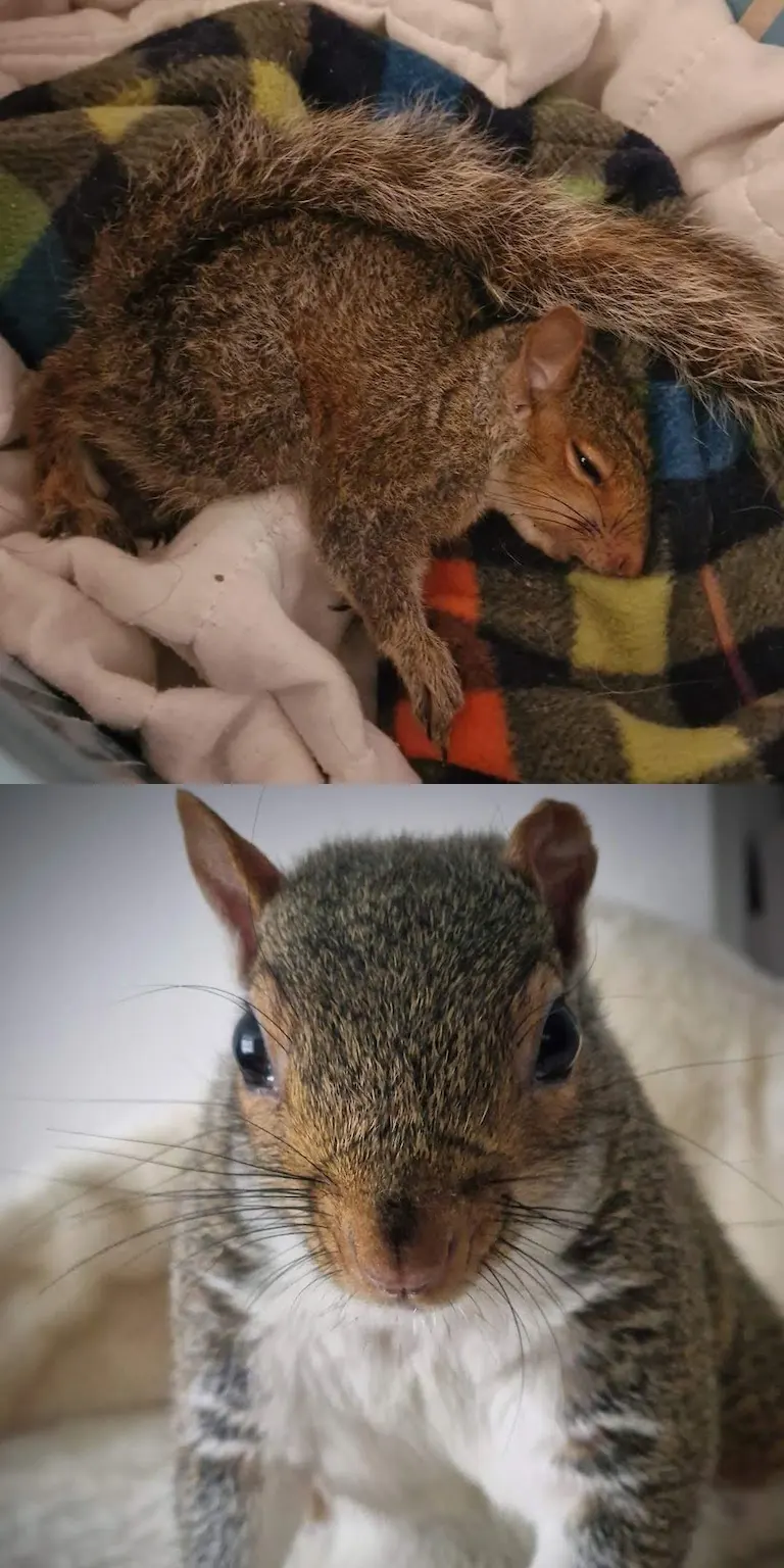Bella before and now